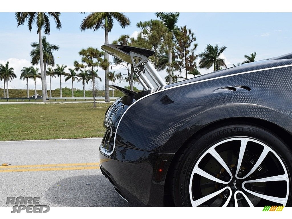 2008 Veyron 16.4 Mansory Linea Vivere - Pearl Metallic / White photo #38 2008 Veyron 16.4 Mansory Linea Vivere - Pearl Metallic / White photo #38