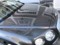 Bentley Continental GT  Granite photo #34