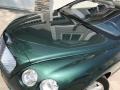 Bentley Continental GT  Spruce photo #29