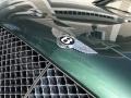 Bentley Continental GT  Spruce photo #53