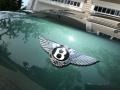 Bentley Continental GT  Spruce photo #55
