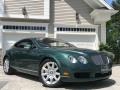 Bentley Continental GT  Spruce photo #99