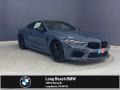 BMW M8 Competition Coupe Barcelona Blue Metallic photo #1