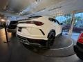 Lamborghini Urus AWD Bianco Icarus Metallic photo #10