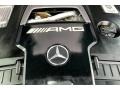Mercedes-Benz G 63 AMG designo Platinum Magno (Matte) photo #32
